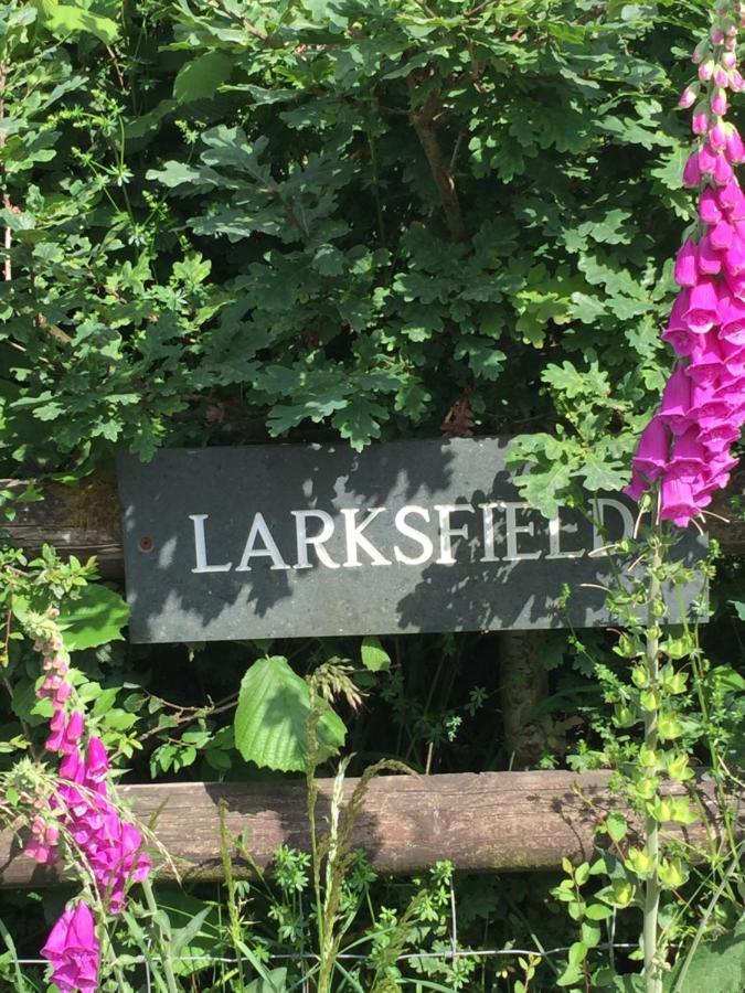 Apartament Larksfield Loft Okehampton Zewnętrze zdjęcie